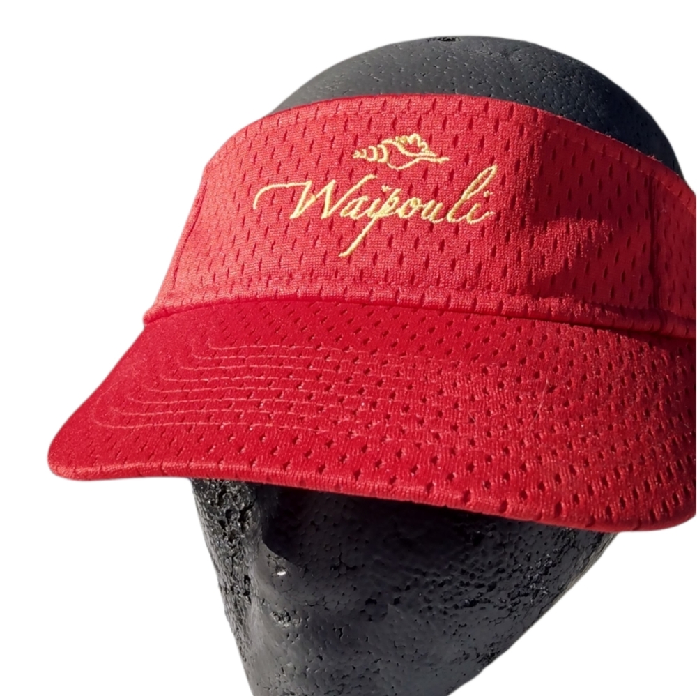 Visor